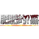 肥肥的璦嘉 (attack on titan)