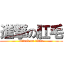 進撃の肛毛 (attack on titan)