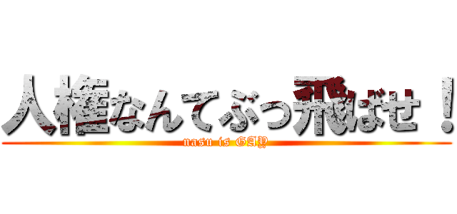 人権なんてぶっ飛ばせ！ (nasu is GAY)