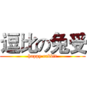 逗比の兔受 (happy rabbit)