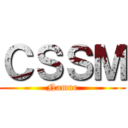 ＣＳＳＭ (Namur)