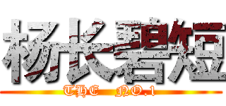 杨长碧短 (THE   NO.1)