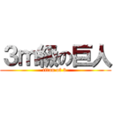 ３ｍ級の巨人 (titan of 3 )