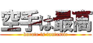 空手は最高 (karate is fantastic)