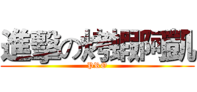 進擊の烤蝦阿凱 (PRO)