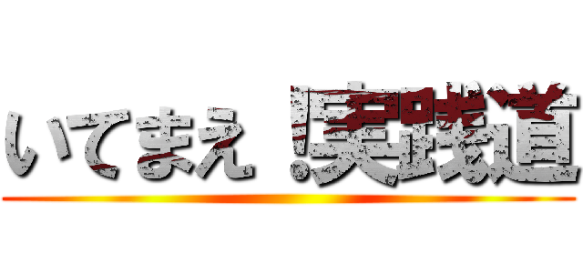 いてまえ！実践道 ()