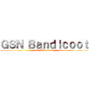 ＧＳＮ Ｂａｎｄｉｃｏｏｔ (GSN Bandicoot)