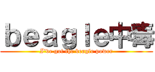 ｂｅａｇｌｅ中毒 (I've got the beagle power)