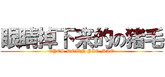 眼睛掉下来的の猪毛 (EYES DOWN PIG MAO)