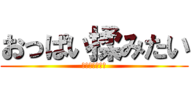 おっぱい揉みたい (〜貧乳は無理〜)