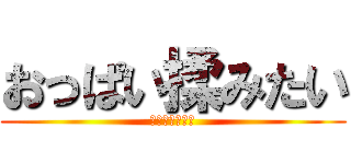 おっぱい揉みたい (〜貧乳は無理〜)