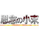 思念の小末 (attack on titan)