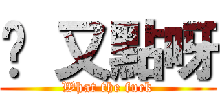 屌 又點呀 (What the fuck)