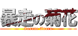 暴走の菊花 (Insane Anaru)