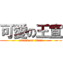 可愛の王宣 (attack on titan)