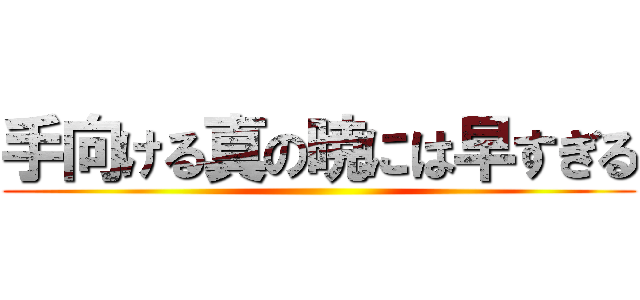 手向ける真の暁には早すぎる ()