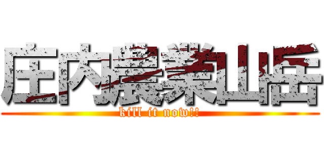 庄内農業山岳 (kill it now!!)