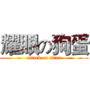 耀眼の狗蛋 (attack on titan)