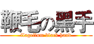 鞭毛の黑手 (flagellum black hand)