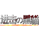 进击の黑貓 (made in taipei)