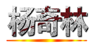 杨奇林 ()