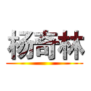 杨奇林 ()