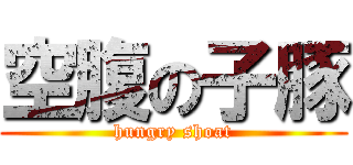 空腹の子豚 (hungry shoat)