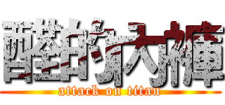 醛的內褲 (attack on titan)