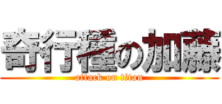 奇行種の加藤 (attack on titan)