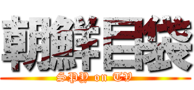 朝鮮目袋 (SPY on TV)