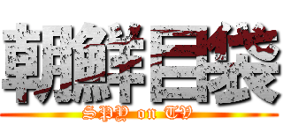 朝鮮目袋 (SPY on TV)