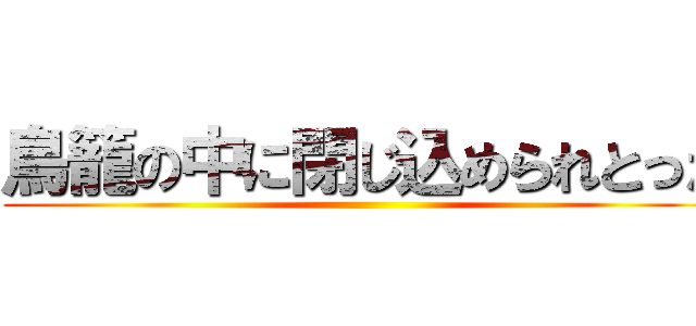 鳥籠の中に閉じ込められとった ()