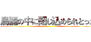 鳥籠の中に閉じ込められとった ()