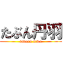 たぶん丹羽 (tabunn niwa)