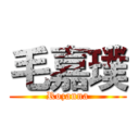 毛嘉璞 (Rozanna)