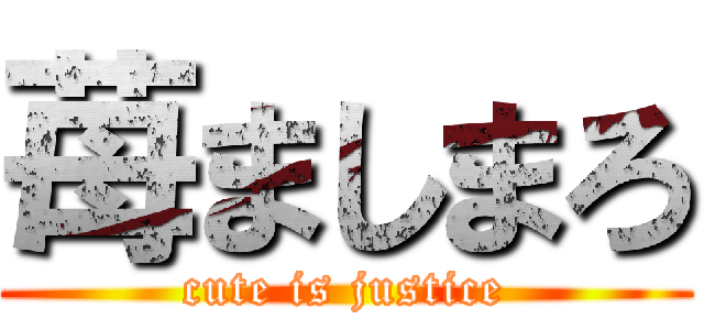 苺ましまろ (cute is justice)