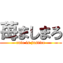 苺ましまろ (cute is justice)