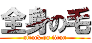 全身の毛 (attack on titan)