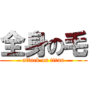 全身の毛 (attack on titan)