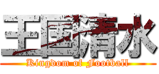 王国清水 (Kingdom of Football)