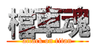 檔車魂 (attack on titan)