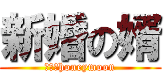 新婚の婿 (ＧＯ！honeymoon)