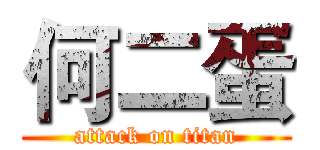 何二蛋 (attack on titan)