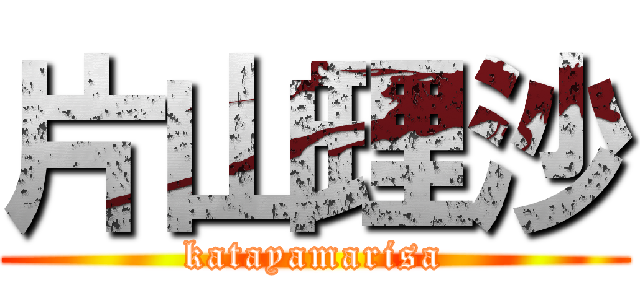 片山理沙 (katayamarisa)