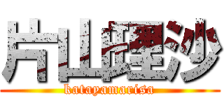 片山理沙 (katayamarisa)