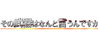 その武器はなんと言うんですか？ (attack on titan)