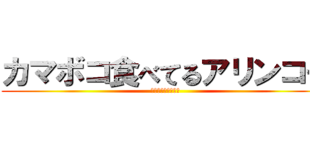 カマボコ食べてるアリンコー (あり達の無謀な挑戦)