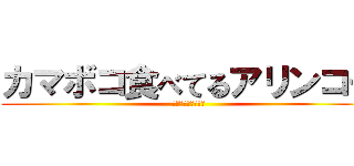 カマボコ食べてるアリンコー (あり達の無謀な挑戦)