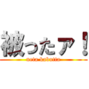 被ったァ！ (neta kabutta)