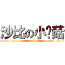 沙比の小蘑菇 (沙比 on 小蘑菇)